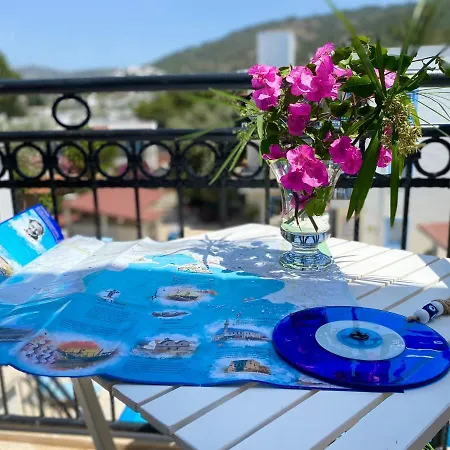Merve Apartments, Your From In Bodrum, Street Cats Frequent The Property, Not Have Balconies , Ground Floor Have Terrace With Table And Chairs Hotel apartamentowy Bodrum