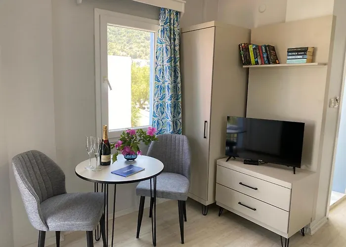 公寓式酒店 Merve Apartments, Your From In Bodrum, Street Cats Frequent The Property, Not Have Balconies , Ground Floor Have Terrace With Table And Chairs 博德鲁姆