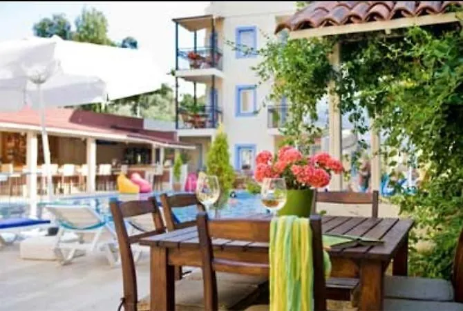 Merve Apartments, Your From In Bodrum, Street Cats Frequent The Property, Not Have Balconies , Ground Floor Have Terrace With Table And Chairs 博德鲁姆