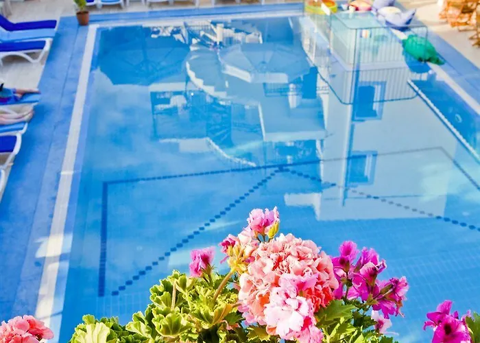 公寓式酒店 Merve Apartments, Your From In Bodrum, Street Cats Frequent The Property, Not Have Balconies , Ground Floor Have Terrace With Table And Chairs
