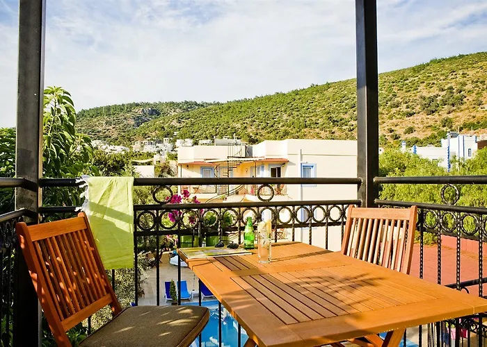 Merve Apartments, Your From In Bodrum, Street Cats Frequent The Property, Not Have Balconies , Ground Floor Have Terrace With Table And Chairs