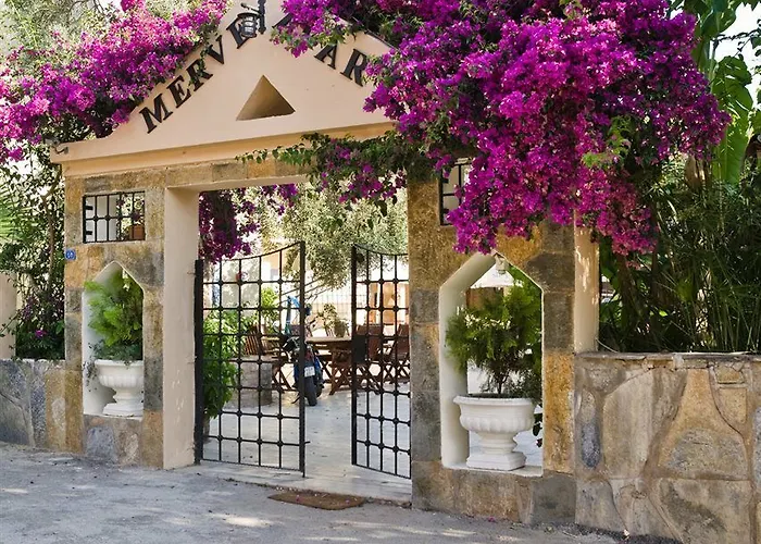 Merve Apartments, Your From In Bodrum, Street Cats Frequent The Property, Not Have Balconies , Ground Floor Have Terrace With Table And Chairs Hotel apartamentowy Bodrum