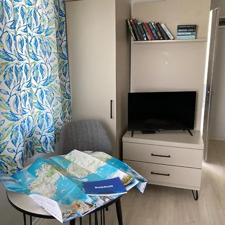 公寓式酒店 Merve Apartments, Your From In Bodrum, Street Cats Frequent The Property, Not Have Balconies , Ground Floor Have Terrace With Table And Chairs