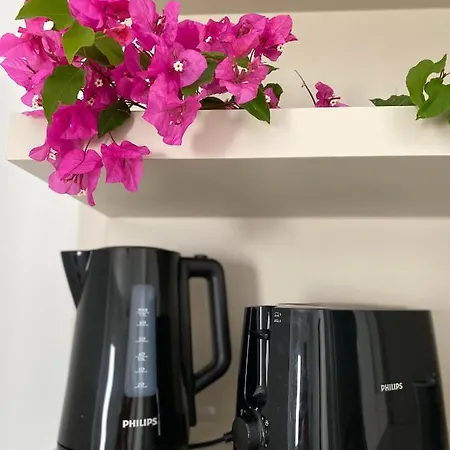 Merve Apartments, Your From In Bodrum, Street Cats Frequent The Property, Not Have Balconies , Ground Floor Have Terrace With Table And Chairs 公寓式酒店 博德鲁姆