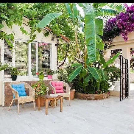 Merve Apartments, Your From In Bodrum, Street Cats Frequent The Property, Not Have Balconies , Ground Floor Have Terrace With Table And Chairs