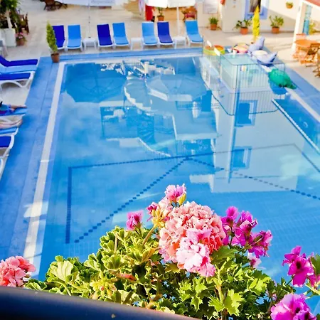 Appart hôtel Merve Apartments, Your From In Bodrum, Street Cats Frequent The Property, Not Have Balconies , Ground Floor Have Terrace With Table And Chairs