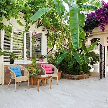 公寓式酒店 Merve Apartments, Your From In Bodrum, Street Cats Frequent The Property, Not Have Balconies , Ground Floor Have Terrace With Table And Chairs 博德鲁姆