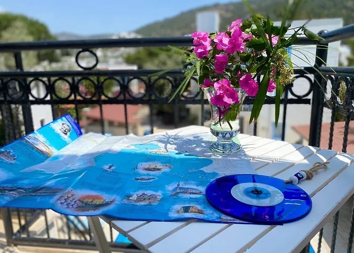 Merve Apartments, Your From In Bodrum, Street Cats Frequent The Property, Not Have Balconies , Ground Floor Have Terrace With Table And Chairs מלון דירות בודרום