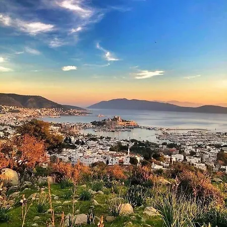 Merve Apartments, Your From In Bodrum, Street Cats Frequent The Property, Not Have Balconies , Ground Floor Have Terrace With Table And Chairs