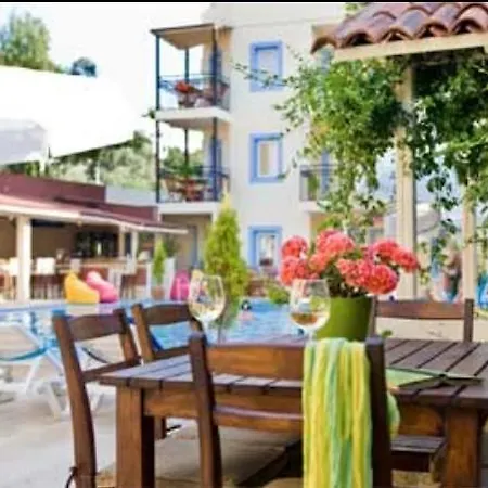 Merve Apartments, Your From In Bodrum, Street Cats Frequent The Property, Not Have Balconies , Ground Floor Have Terrace With Table And Chairs بودروم