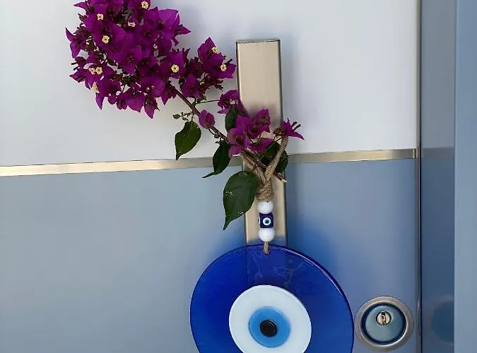Apartmanhotel Merve Apartments, Your From In Bodrum, Street Cats Frequent The Property, Not Have Balconies , Ground Floor Have Terrace With Table And Chairs Bodrum