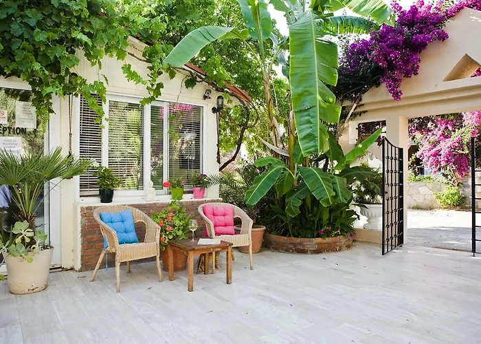 Apartmanhotel Merve Apartments, Your From In Bodrum, Street Cats Frequent The Property, Not Have Balconies , Ground Floor Have Terrace With Table And Chairs Bodrum